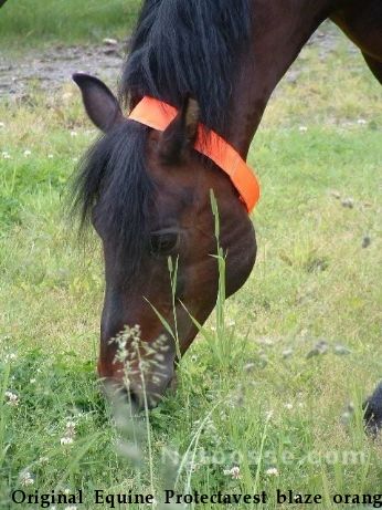 The Original Equine Protectavest blaze orange horse collar for hunting season safety